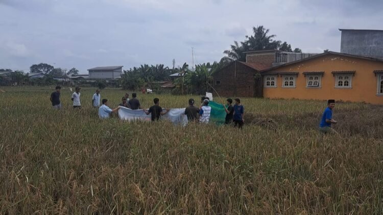 Remaja 16 Tahun Terseret Arus Banjir Ditemukan Tewas di Lorong Sawah Payageli