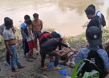 Jasad Pria Ditemukan Membusuk di Sungai Belawan, Diduga Korban Banjir