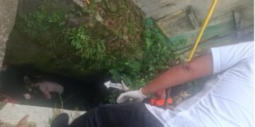 Mayat Wanita Ditemukan di Parit Jalan Brigjen Zein Hamid