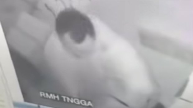 Terkuak Fakta di Balik Viralnya Video RSUD Kudus, Dua Pegawai Mesum di Kamar Jenazah