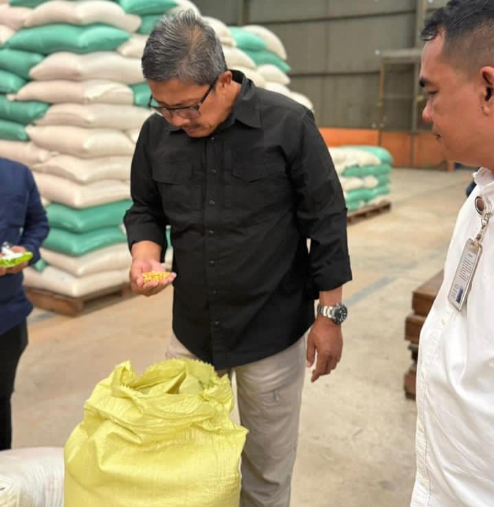 Kesiapan Bulog Menyerap Gabah dan Jagung Hasil Panen Petani