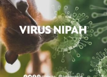Virus Nipah Alarm Untuk Dunia: Belum Miliki Vaksin dan Cukup Berbahaya