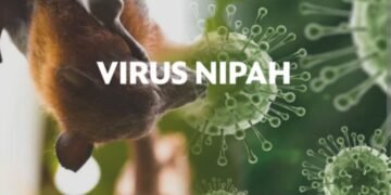 Virus Nipah Alarm Untuk Dunia: Belum Miliki Vaksin dan Cukup Berbahaya