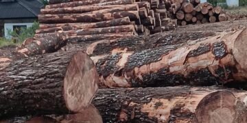 SIPUHH Online di Tanah Karo Tuai Protes, Warga Nilai BPHL II Sumut Abaikan Dampak