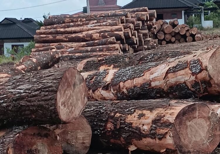 SIPUHH Online di Tanah Karo Tuai Protes, Warga Nilai BPHL II Sumut Abaikan Dampak