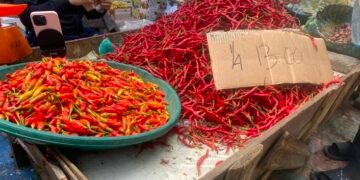 Harga Cabai Terpuruk Setelah Sempat Naik Tajam, Namun Dibayangi Harga Mahal Di Sejumlah Daerah