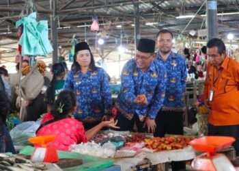 Sekda Pakpak Bharat Kunjungi Pasar Tradisional Upaya Mendukung Sensus Ekonomi 2026
