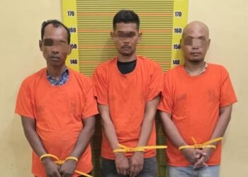 Polda Sumut Gagalkan Peredaran 20 Kg Ganja, 3 Tersangka Ditangkap