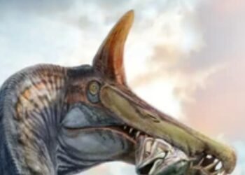 Ilmuwan Temukan Dinosaurus Mirip Unicorn: Begini Penampakannya! 