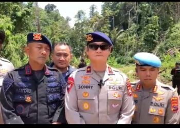 Omzet Fantastis Rp600 Juta per Hari, Polda Sumut Bongkar Tambang Emas Ilegal di Tapsel–Madina