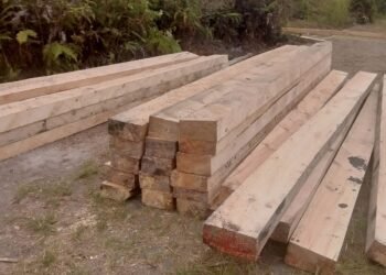 Kayu Siosar Menjadi Bisnis OTK, Kapolres Karo Bungkam