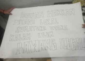 Petani Bawang Sumut Protes Peredaran Bawang Impor Ilegal