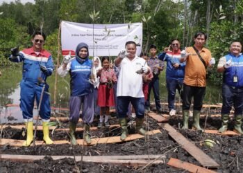 Dari Pembalak Menjadi Penggerak, Jalan Panjang Kasto di Pesisir Langkat