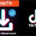 7 Langkah Mengunduh Video TikTok Tanpa Watermark Melalui SnapTik