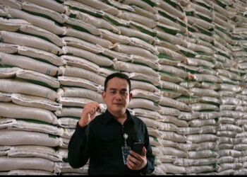 Stok Beras Bulog Sumut Melimpah, Capai Angka Tertinggi