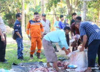 PT PLN Indonesia Power UBP PNS Laksanakan Qurban Bersama
