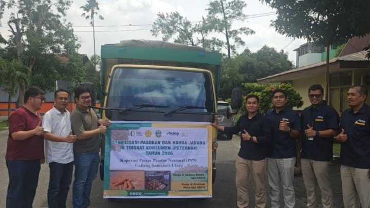 BULOG Sumut Mulai Salurkan 66 Ton Jagung SPHP untuk 6 Peternak