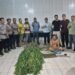 Polresta Deli Serdang Ungkap Keberadaan Ladang Ganja di Tanjung Morawa, Intip Kronologisnya!