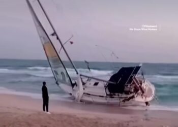 Sempat Putus Komunukasi, Satu Kapal GSF Ditemukan di Perairan Alexandria Mesir