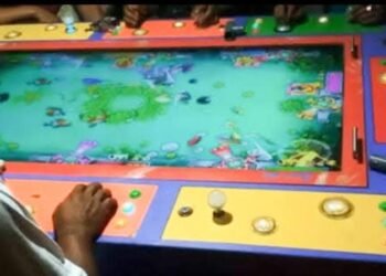 Diduga Akibat Judi Ikan-Ikan, Warga Kecamatan Merek dan Tiga Panah Khawatir Pencurian Meningkat