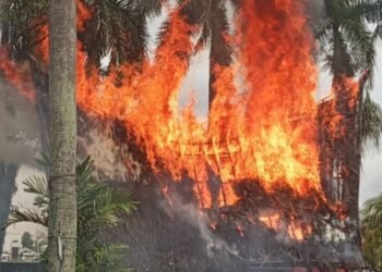 Rumah Adat Sisingamangaraja Terbakar, Remaja 13 Tahun Diamankan