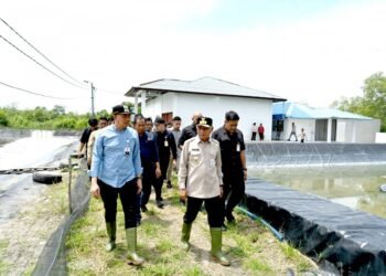 Tinjau UPTD BIAPAL Sialang Buah, Wagub Sumut Surya Dorong Peningkatan PAD Sektor Perikanan