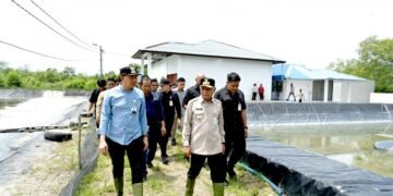 Tinjau UPTD BIAPAL Sialang Buah, Wagub Sumut Surya Dorong Peningkatan PAD Sektor Perikanan