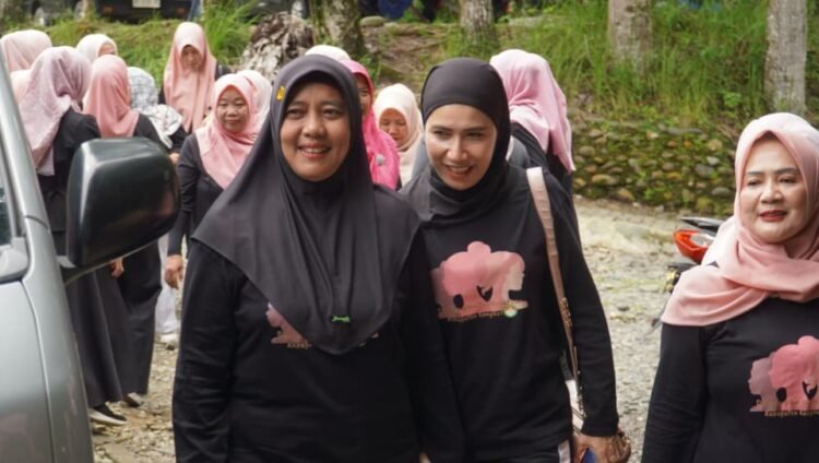 Endang Syah Afandin Ajak DWP Langkat Jadi Pelopor Pelestarian Lingkungan