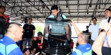Buka Kontes Burung Berkicau, Bobby Nasution Dorong Sumut Jadi Pusat Kicau Mania Nasional