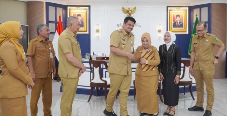Mendagri Resmi Tunjuk Wabup Tiorita Surbakti Sebagai Plt Bupati Langkat