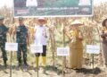 Plt. Bupati Tiorita Pimpin Panen Raya Jagung, Perkuat Swasembada Pangan di Langkat