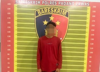 Ketahuan Curi Buah Sawit Milik PT Barapala, Seorang Pemuda Diamankan Sat Reskrim Polres Padang Lawas