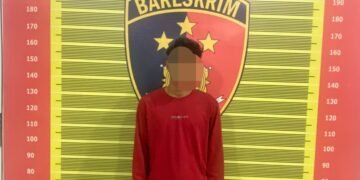 Ketahuan Curi Buah Sawit Milik PT Barapala, Seorang Pemuda Diamankan Sat Reskrim Polres Padang Lawas
