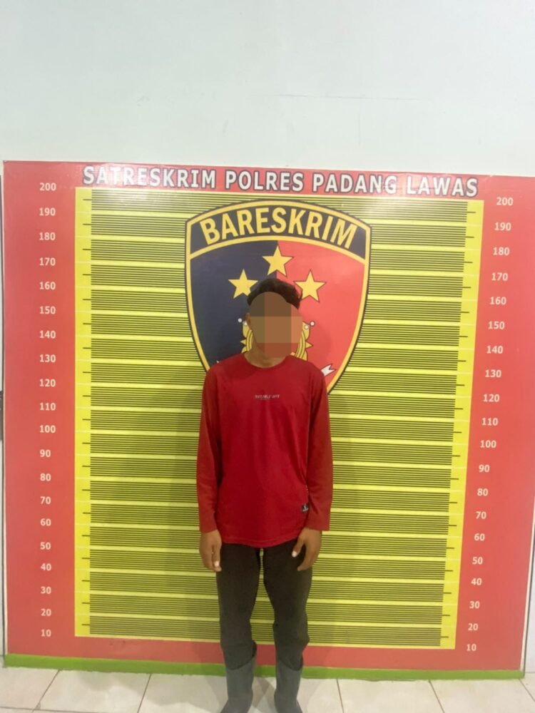 Ketahuan Curi Buah Sawit Milik PT Barapala, Seorang Pemuda Diamankan Sat Reskrim Polres Padang Lawas