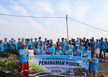 Hijaukan Bumi, Lestarikan Negeri. PLN Indonesia Power UBP Pangkalan Susu Melakukan Penanaman Mangrove, Wujud Nyata Komitmen Pelestarian Lingkungan Pesisir