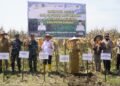 OJK Sumut Dorong Klaster Kemitraan Jagung Langkat Untuk Perluas Akses Pembayaran Petani