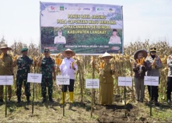 OJK Sumut Dorong Klaster Kemitraan Jagung Langkat Untuk Perluas Akses Pembayaran Petani