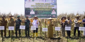 OJK Sumut Dorong Klaster Kemitraan Jagung Langkat Untuk Perluas Akses Pembayaran Petani 