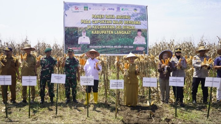 OJK Sumut Dorong Klaster Kemitraan Jagung Langkat Untuk Perluas Akses Pembayaran Petani