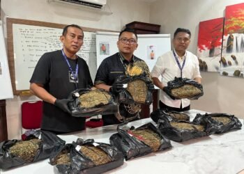 9,4 Kg Ganja Gagal Beredar di Medan