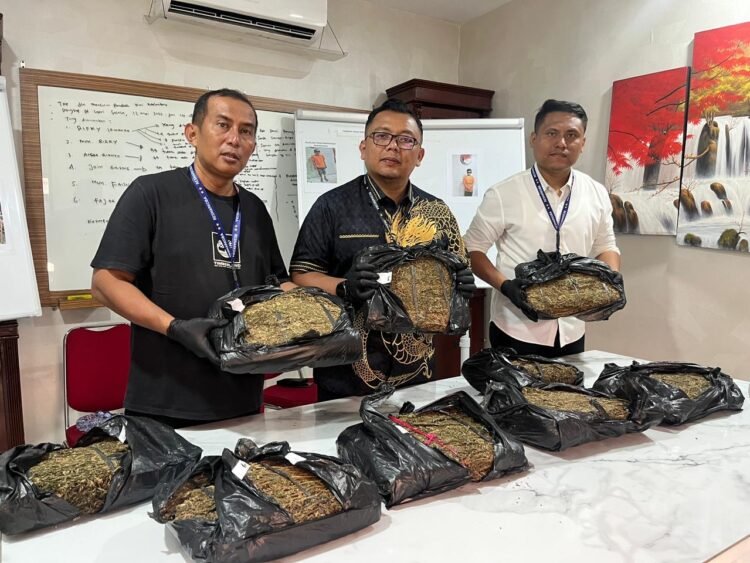 9,4 Kg Ganja Gagal Beredar di Medan