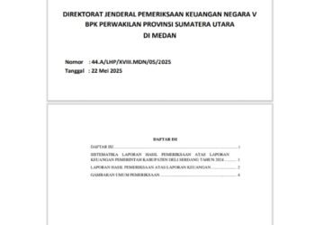 Data BPK Sebut 23 Wajib Retribusi, Kominfostan Deli Serdang Nyatakan Tinggal 12 Perusahaan Berutang