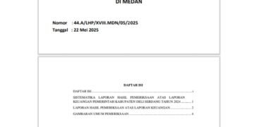 Data BPK Sebut 23 Wajib Retribusi, Kominfostan Deli Serdang Nyatakan Tinggal 12 Perusahaan Berutang