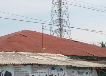 Pemilik Lahan Masih Terima Sewa, Dalih Kominfostan Deli Serdang Sulit Hubungi Perusahaan Menara Dipertanyakan