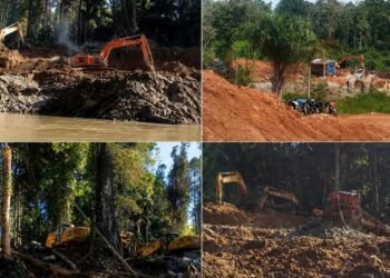 Aktivitas PETI Gunakan Alat Berat, Luluhlantakkan Hutan Muara Batanggadis