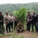 Polsek Kuala Amankan Ladang Ganja di Desa Garunggang dan Satu Pelaku