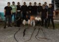 Tawuran Bubar, 4 Anggota Geng Motor di Binjai Ditangkap Polisi