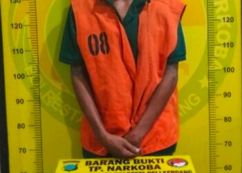 Bekuk Bandar, Polresta Deli Serdang Sita 67 Paket Sabu dan Ganja