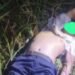 Driver Taksi Online Tewas Dibegal, Jasad Dibuang di Kebun Tebu Hamparan Perak