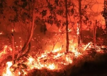 BMKG Ingatkan El Nino Ekstrem Picu Karhutla, Hujan Baru Turun Oktober